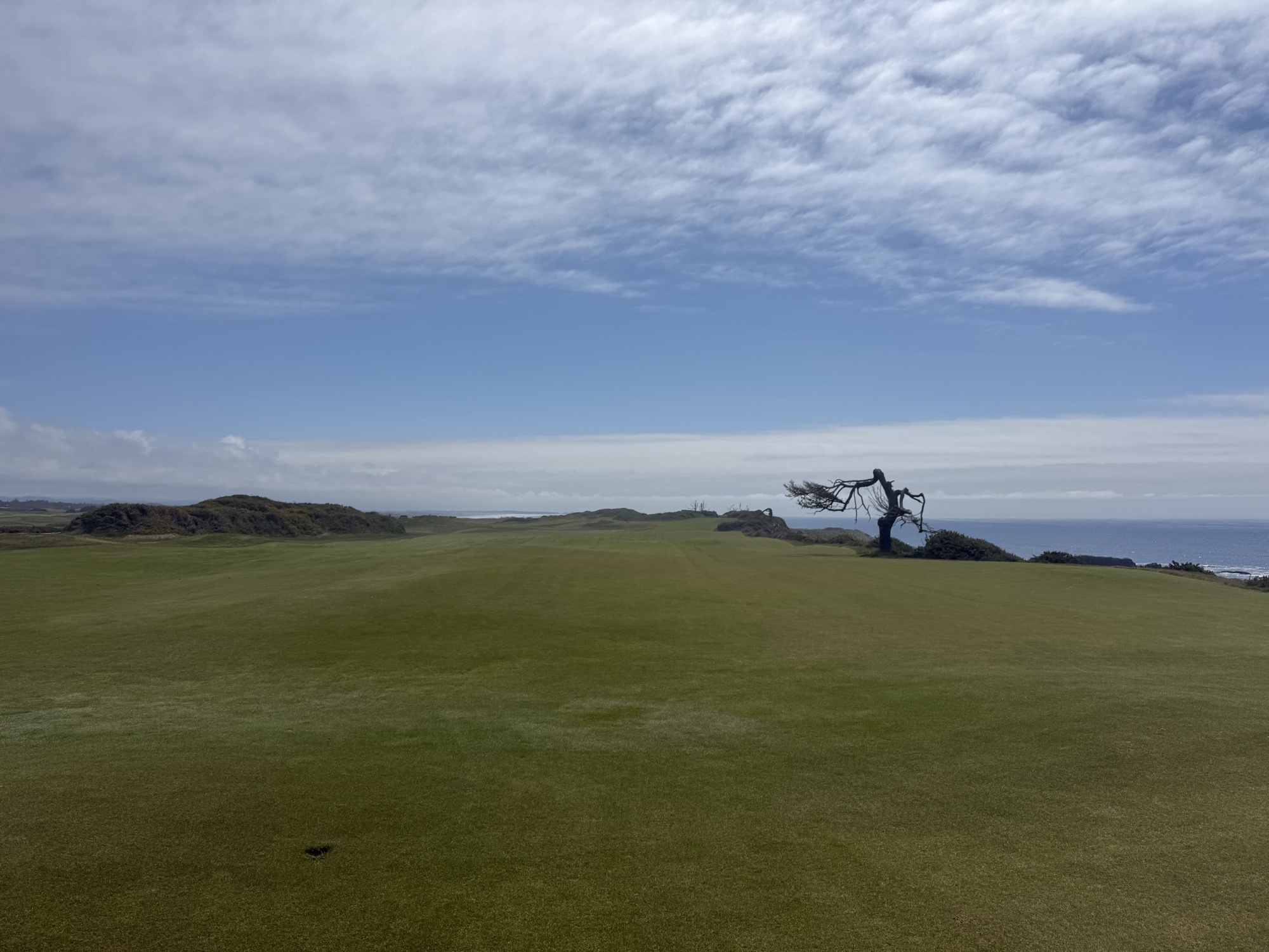 A coastal golf fairway beside the ocean, with a windswept tree and clouds overhead.